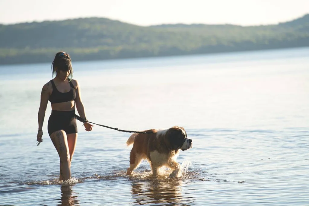 Accès au petit lac Nominingue - Les Toits du monde