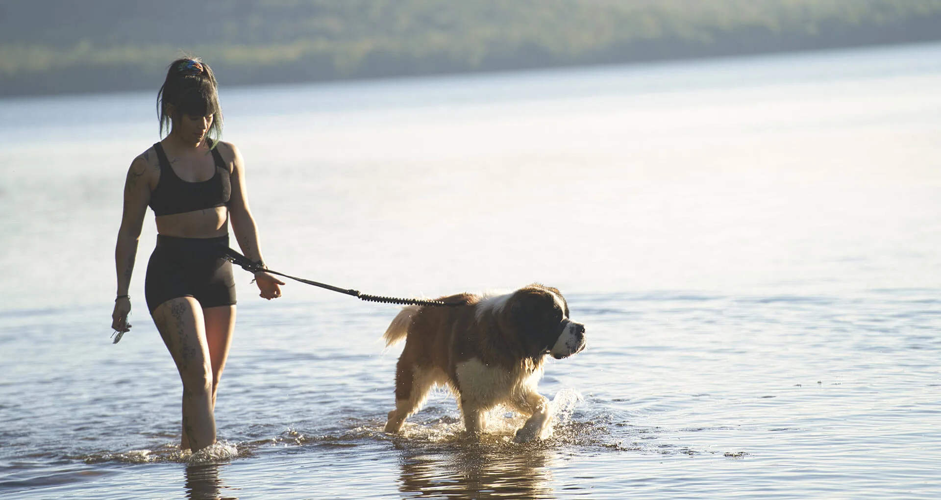 Accès au petit lac Nominingue - Les Toits du monde
