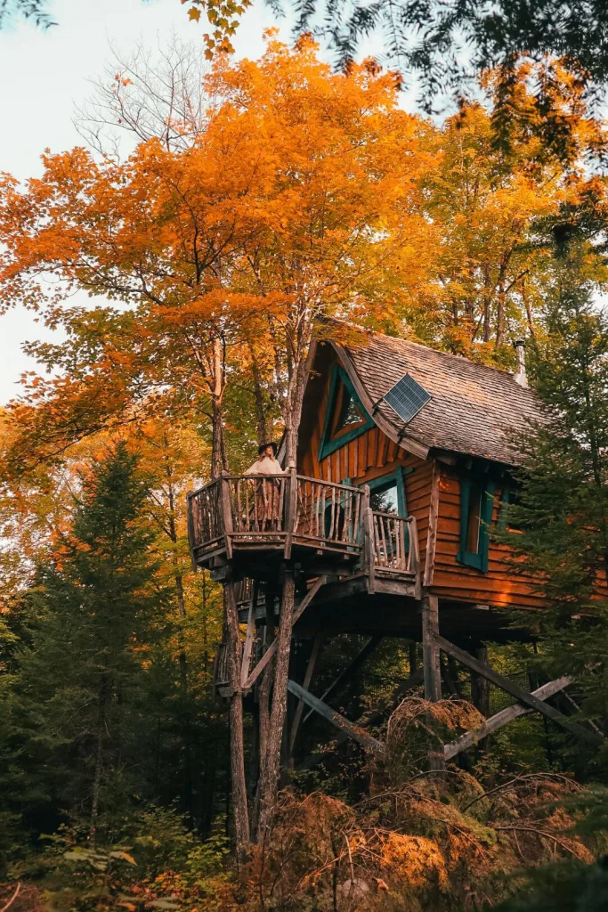 Le chalet enchanté dans les arbres