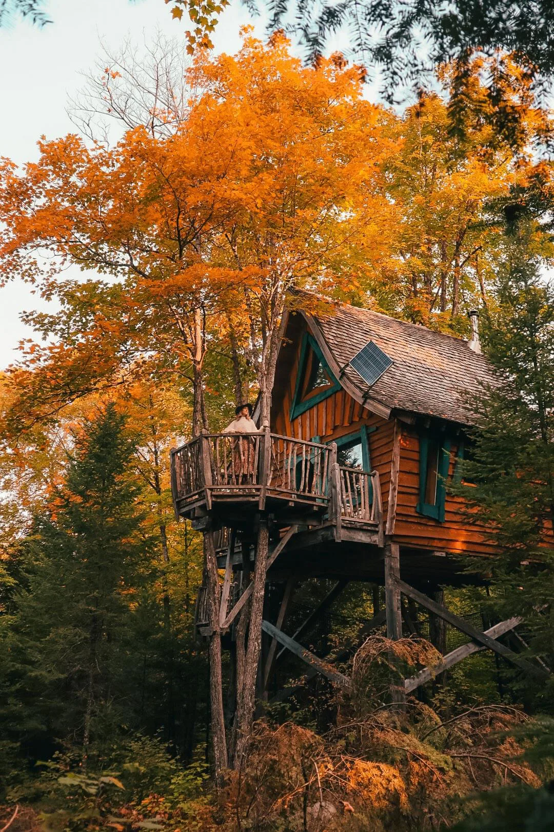 Le chalet enchanté dans les arbres